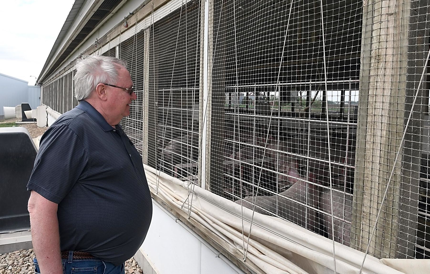 Compart hog farm 1